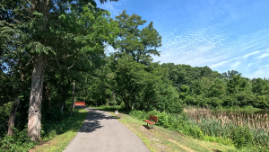 Read more about the article The Coal and Coke Trail / Jacobs Creek Multi-Use Trail